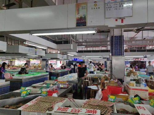 曝光 廣東珠海市斗門區(qū)白藤頭水產批發(fā)市場設立 黑榜 ,這幾個攤位被停業(yè)整頓